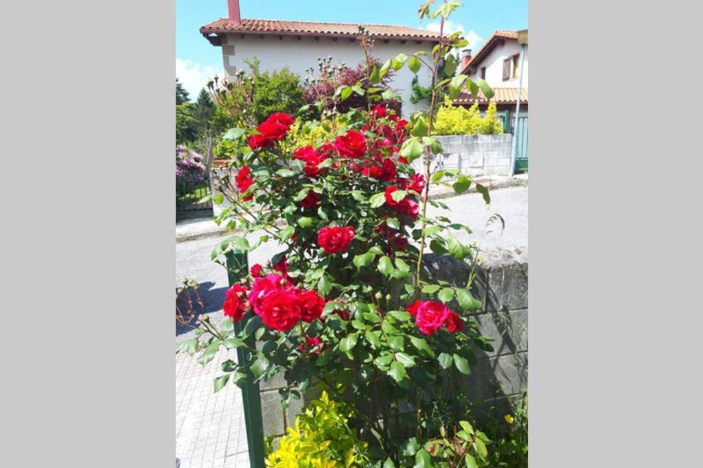 Chalet Familias 10 Huespedes Beranga Noja Playas, Mascotas Bienvenidas 外观 照片